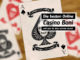 Die besten Online Casino Boni - und was du dazu wissen musst!