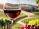 Der ultimative Wein-Guide: 22 Tipps für Beginner